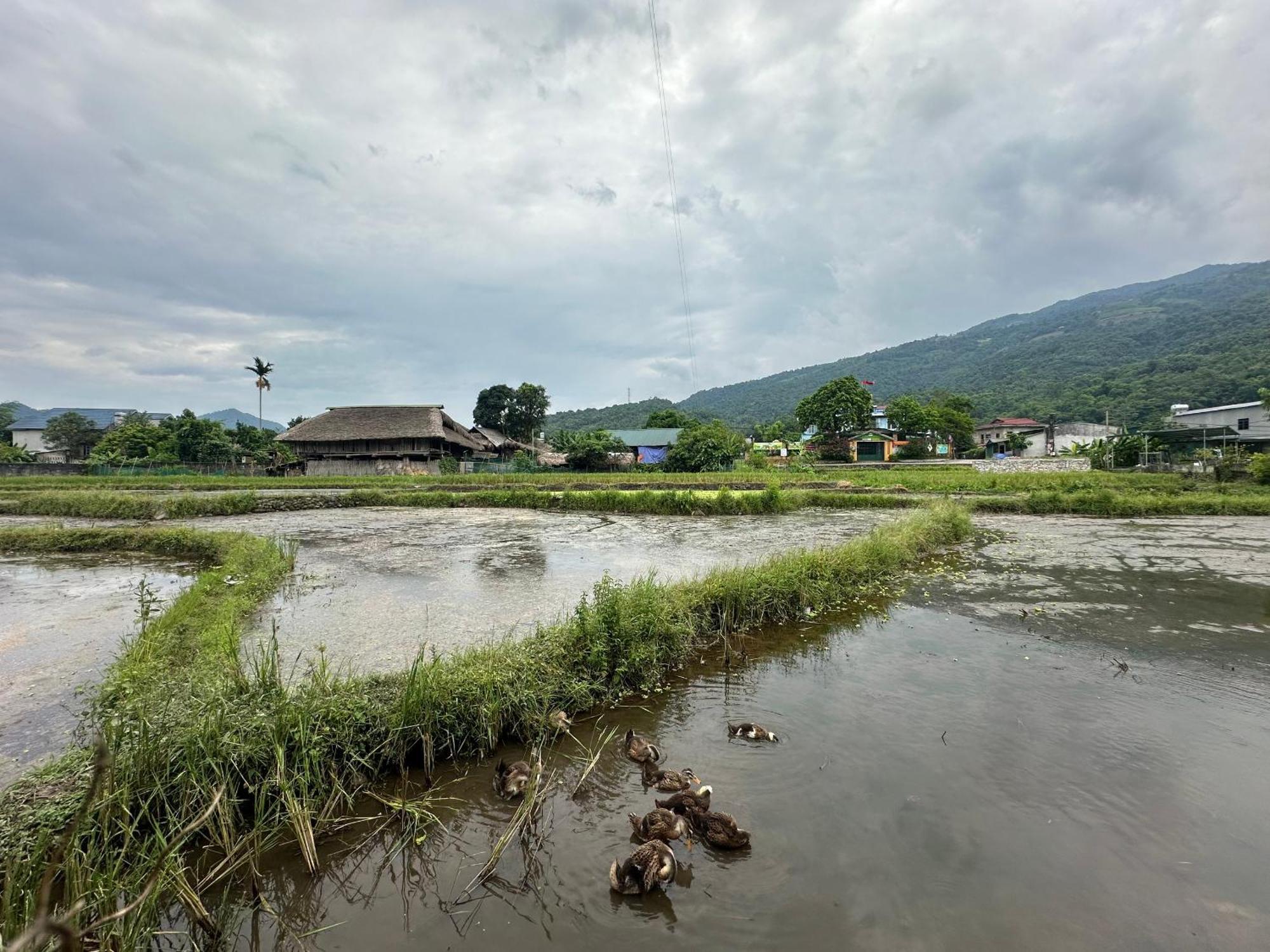 Ha Giang Eco Bungalow Экстерьер фото